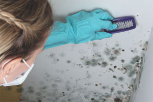 Comment se débarrasser des champignons sur les murs d'un appartement
