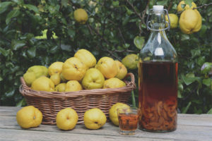 Come fare il vino di mele cotogne
