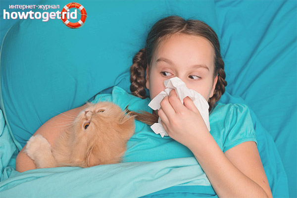 Come affrontare le allergie infantili negli animali