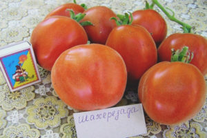 Tomato Scheherazade